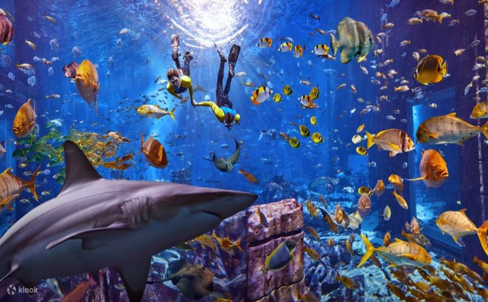 Lost-Chambers Aquarium + Dubai Frame Ticket