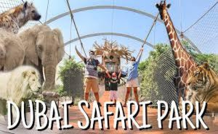 Dubai Safari Park - Day Pass